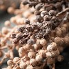 Sullivans Artificial Dried Blush Berry Stem Set of 2, 25"H Brown - 2 of 4