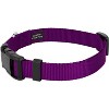 Country Brook Petz Deluxe Nylon Dog Collar and Leash - 2 of 4