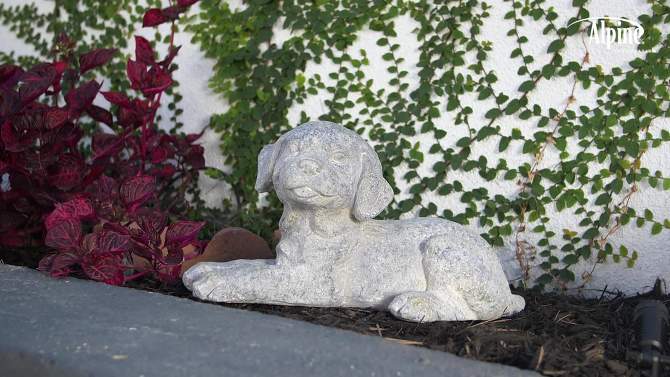10&#34; x 9&#34; Indoor/Outdoor Laying Puppy Magnesium Oxide Garden Statue Gray - Alpine Corporation, 2 of 6, play video