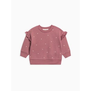 Abbey Fleece Ruffle Sleeve Pullover Sweatshirt - 1 of 4