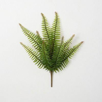 Sullivans Artificial Plump & Full Fern Stem 20.5H Green