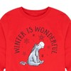 Boys' - Winnie the Pooh - Eeyore Winter is Wonderful Christmas Long Sleeve Graphic T-Shirt - 2 of 4