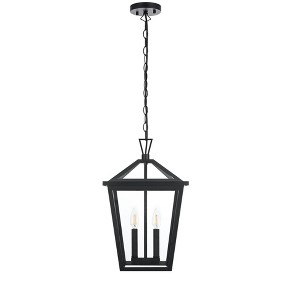 Elegant Lighting Frankford 12 Inch Outdoor Pendant in Black - 1 of 4