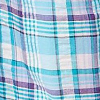 paradise blue plaid