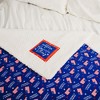 Pavilion Gift Company - America Strong - 45" x 50" Plush Blanket - Throw Blankets - 2 of 4