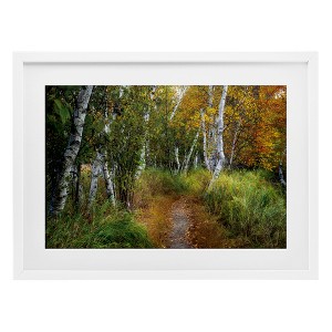 Stupell Industries Walk In The Hemlocks Forest Framed Print Under Glass - 1 of 4