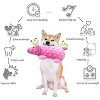 ZippyPaws Squeaky Dog Toys Plush Dog Toy with Crinkle Paper Stuffed Durable Dog Chew Toys - 2 of 4