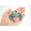 Collectible Wildlife Gifts | Blue Crab, Hand Painted, Museum Quality, Rubber soft-shell crab, Diorama, Toy,  Gift,  3 1/2 Inches.  CH851 BB198 - 2 of 4
