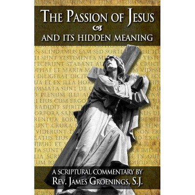 The Passion Of Jesus And Its Hidden Meaning 6th Edition By James Groenings Jakob Grhonings Rev James Groenings Paperback Target