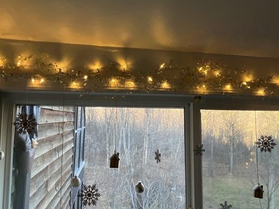 Guest review image 1 of 1, zoom in