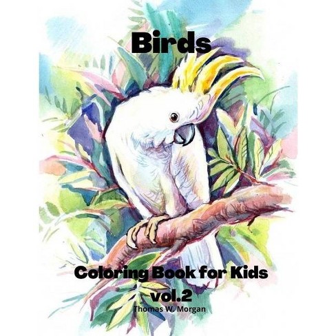 Download Birds Coloring Book For Kids Vol 2 By Thomas W Morgan Paperback Target