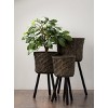 Sullivans Set Of 3 Bamboo Basket & Stand 29.5"H, 25.5"H & 21.5"H Black - 4 of 4