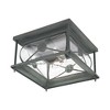 Livex Lighting Providence 2 - Light Flush Mount in  Charcoal - 4 of 4