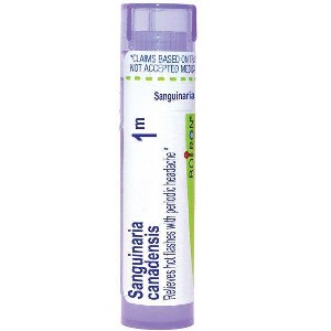 Sanguinaria Canadensis 1M by Boiron Homeopathic Single Medicine For Personal Care  -  80 Pellet - 1 of 4