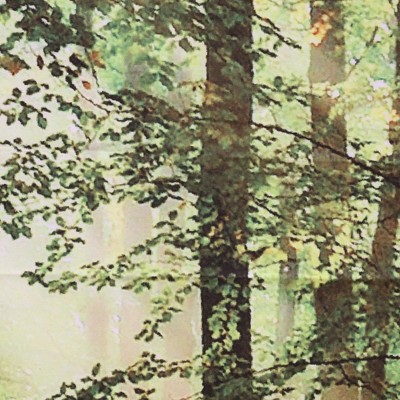 Forest Scene Light Filtering Polyester Curtain Panels