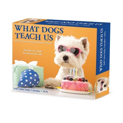 Willow Creek Press What Dogs Teach Us 2025 Box Calendar: Daily Desktop Planner, 5x6", Paper, Blue, All Ages