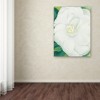 Trademark Fine Art -Georgia O'Keefe 'White Camelia' Canvas Art - 3 of 3