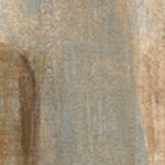 montalcino elm