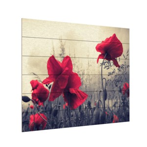 Trademark Fine Art -Philippe Sainte-Laudy 'Red For Love' Multi Panel Art Set - 1 of 4