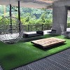 Dexmalle 3FT x 32FT Artificial Turf for Dogs - 3 of 4