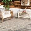 Nuloom Elaina Abstract Indoor/Outdoor Patio Area Rug 4' x 6' in Light Gray - 2 of 4