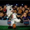 Bleacher Creatures Florida State Seminoles Cimarron 10" Mascot Plush Figure - 4 of 4