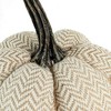 Whisen 5.2x5.2x6"H Fabric Weighted Pumpkin Pattern, Set of 3 - Cream - 3 of 4
