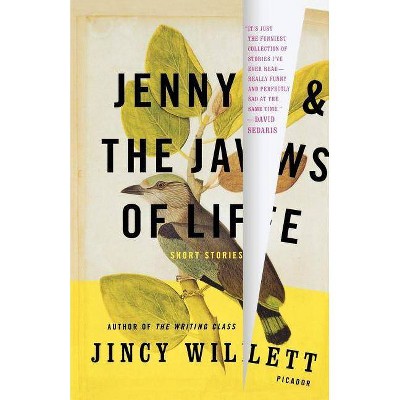 Jenny and the Jaws of Life - by  Jincy Willett (Paperback)