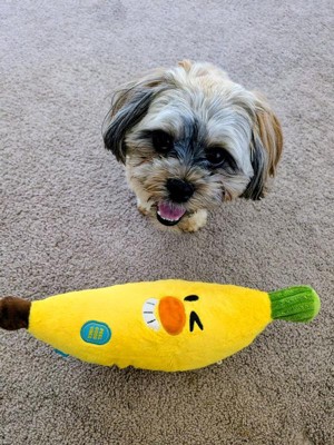 BARK Banana Dog Toy - Barney Banana: Squeaks, Crinkles, For Chew and Fetch,  Plush Toy : Target