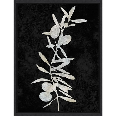 Amanti Art Plant Life White on Black IV by Danielle Carson Canvas Wall Art Print Framed 18 x 24-in.