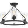 Progress Lighting, Debut Collection, 3-Light Semi-Flush Ceiling Light, Graphite Finish, Clear or Frosted Seeded Shades - 3 of 4