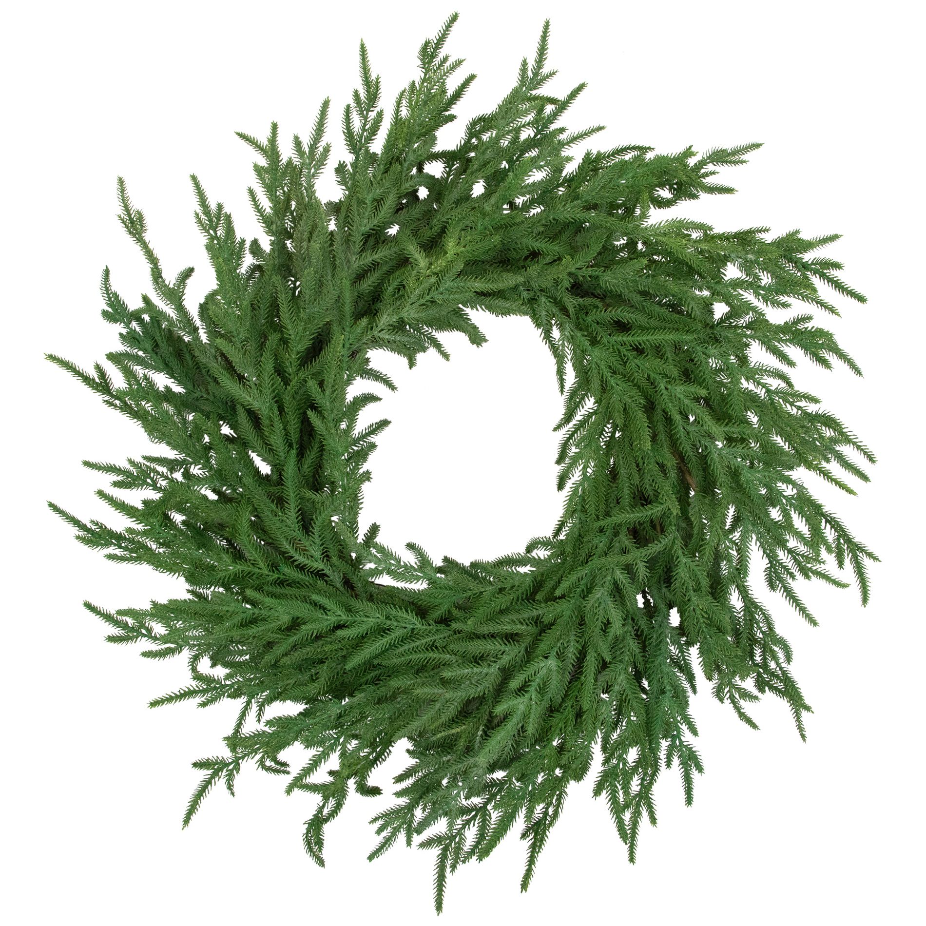 Northlight Norfolk Pine Artificial Christmas Wreath - 26" - Unlit