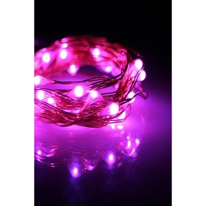 Perfect Holiday 30 LED Silver Copper Fairy String Lights - Battery Operated - 1 of 2