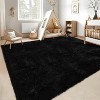 Fluffy Area Rug- Shag Area Rug for Living Room, Shaggy Large Indoor Thick Living Room Carpet with Non-Slip Backing, Soft Plush Carpet - 4 of 4
