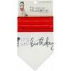 Pavilion Gift Company - It's My Birthday - 12" x 8" Canvas Slip on Pet Bandana - Pet Toy - 4 of 4