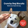 Blue Buffalo Mini Health Bar Bacon and Cheese Flavor Crunchy Dog Treats - 16oz - 4 of 4