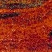 red/multi