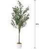 Olive Trees Artificial,5.3 ft Faux Olive Tree with White Planter,Artificial Plants with Realistic Leaves and Fruits for Home House Office Décor - 2 of 4
