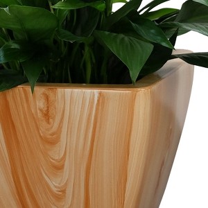 Okak Self-Watering Smart Orchid Pots with Holes 2-Pack, Square Cone Planter for Indoor and Outdoor Plants, 10.2"W x 9.4"H - 1 of 4
