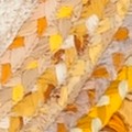 gold/natural