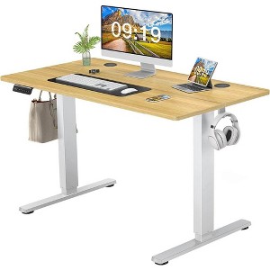 48x24in Electric Standing Desk With 2 Rear End Wiring Holes, Hook Adjustable Height Stand Up Desk, Memory Computer Workstation Desk For Office - 1 of 4