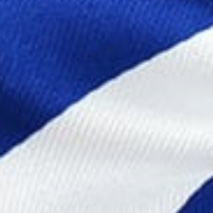 royal blue and white