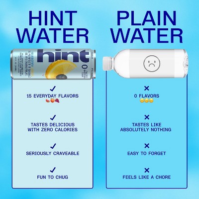 hint Blueberry Lemon Flavoured Still Water - 12 fl oz Can