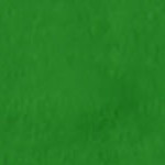 kelly green