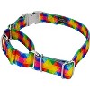 Country Brook Petz Martingale Dog Collar with Premium Buckle - Groovy Collection - 2 of 4