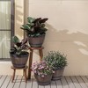 VECELO Planters Set, Plastic Pot with Perforated Tray, Decorative Foliage Plants, Vintage Planters 3-Piece Set, Artificial Wood Planters - 4 of 4