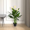 Vickerman 37" Artificial Potted Green Peace Lily Real Touch Plant. - 4 of 4