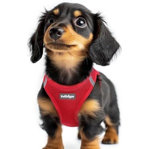 rabbitgoo Small Dog Harness, Step-in Soft Mesh Puppy Vest with Safety Buckle, Breathable Reflective Pet Harness for Extra Small Dogs, Red XXS - 1 of 1