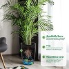 Set of 2 16" Tall Self-Watering Planters, Modern Pots with Drainage & Water Level Indicator for Indoor/Outdoor, Patio,Living Room, Office, Black - 2 of 4