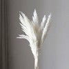Alilang Decorative Dried Tall Grass Stems for Home Decoration and Floral Arrangements, 27.5 Inches - 4 of 4